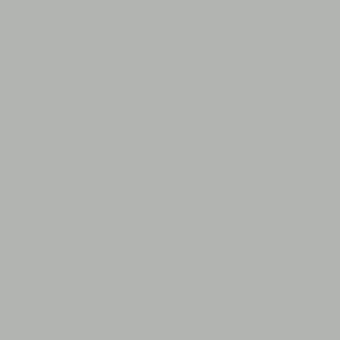 Silver Gray Silver Gray