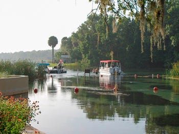 Pontoon cruising down the Salt Springs