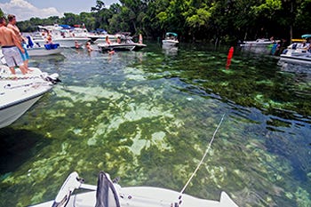 Beached at the Silver Glen Springs sandbar